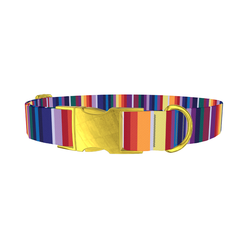 Colorful Mexican Stripe Dog Collar - metal gold