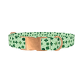 Watercolor Clover Dog Collar - metal rose gold