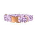 Witchy Magic Elements Dog Collar - metal rose gold