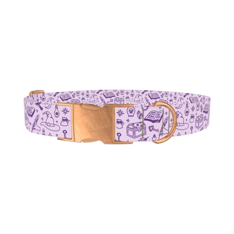Witchy Magic Elements Dog Collar - metal rose gold