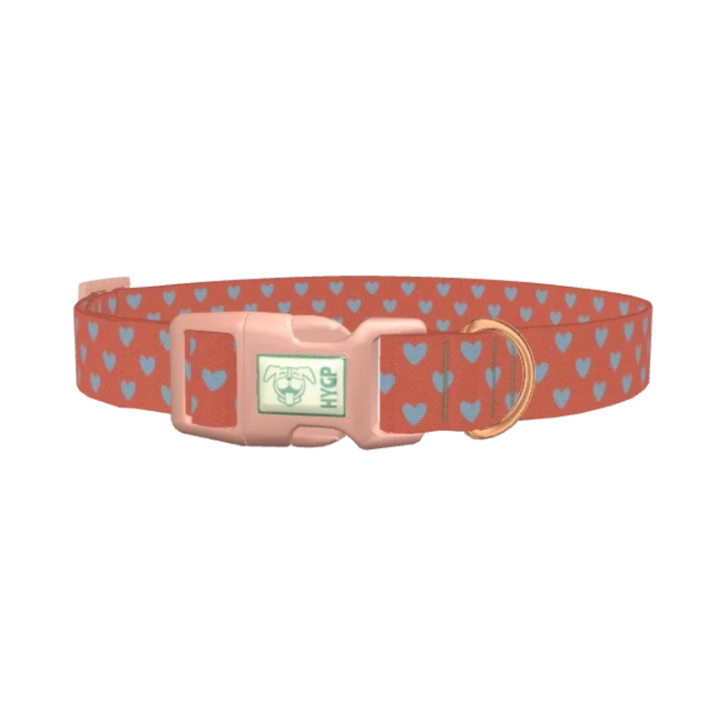 Blue Heart Valentine Dog Collar - plastic rose gold