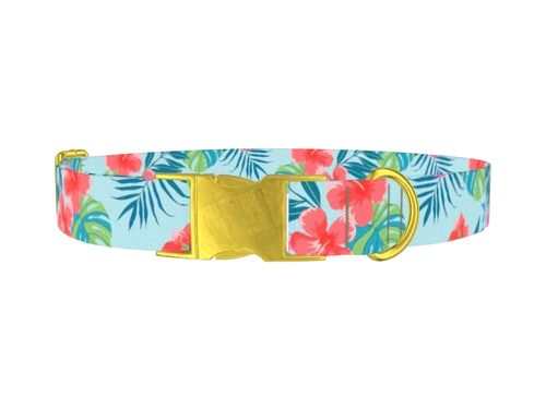 Tropical_MultiFloral
