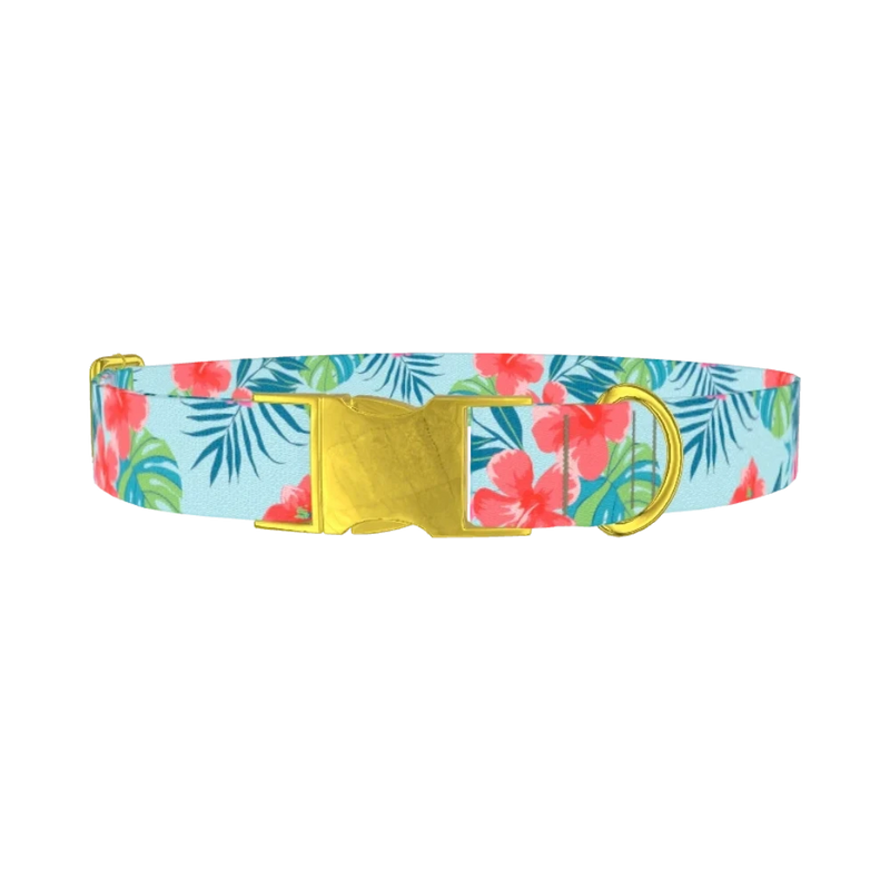 Multi Floral Hibiscus Dog Collar - metal gold