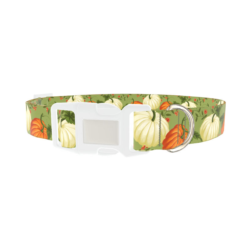 Pumpkin Floral Dog Collar - plastic silver