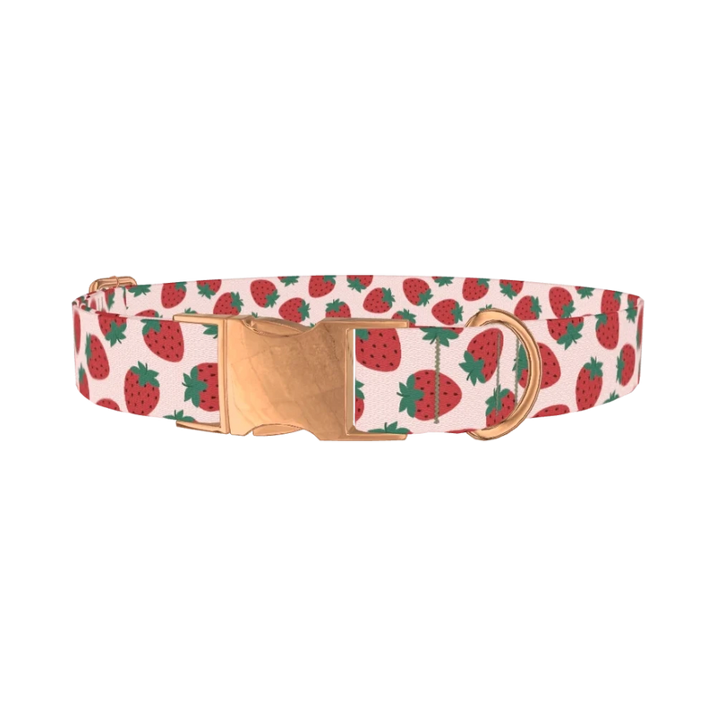 Red Strawberry Pattern Dog Collar - metal rose gold