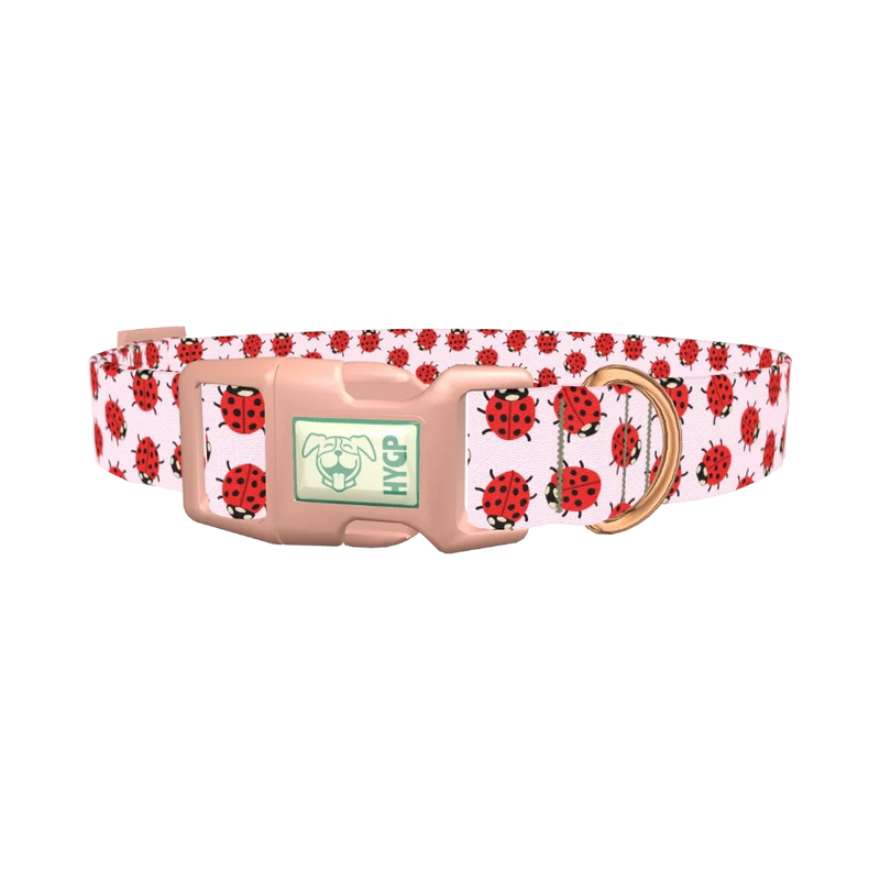 Ladybug Print Dog Collar - plastic rose gold