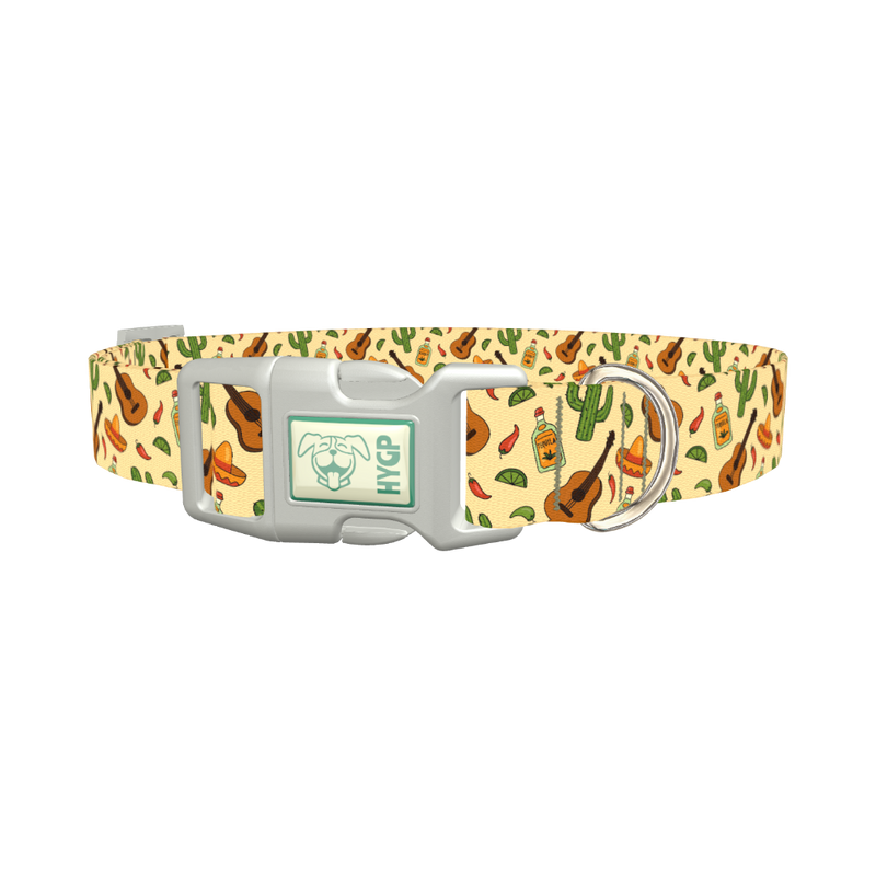 Mexican Fiesta Dog Collar - plastic silver