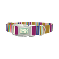 Purple Blue Green Stripes Dog Collar - plastic silver