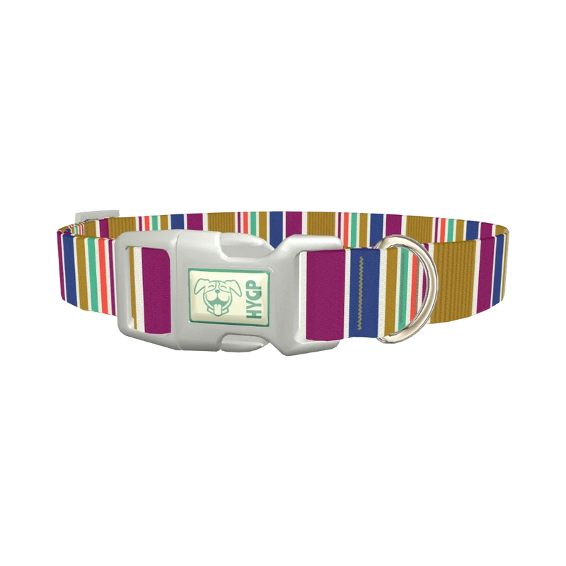 Purple Blue Green Stripes Dog Collar - plastic silver