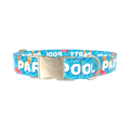 Pool Party Dog Collar - metal gold