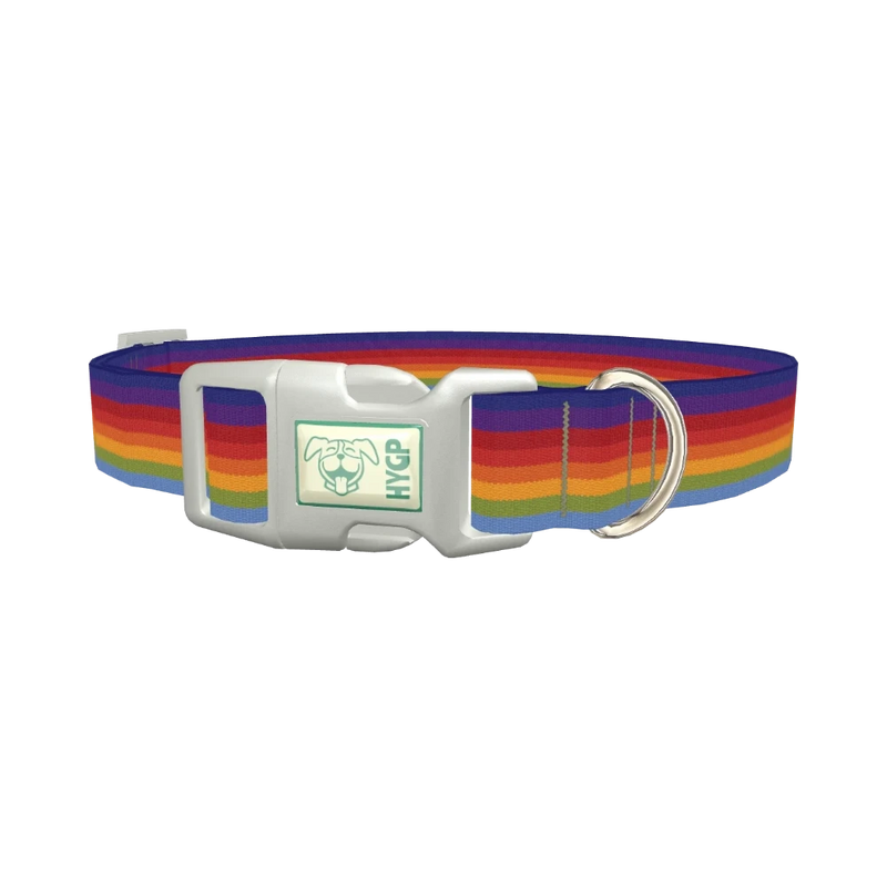 Rainbow Hexagon Dog Collar - plastic silver