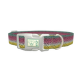Rainbow Trout Pattern Dog Collar - plastic silver