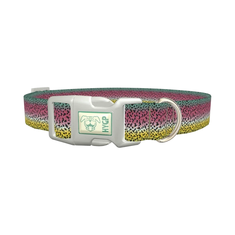 Rainbow Trout Pattern Dog Collar - plastic silver