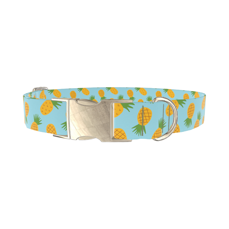 Blue Pineapple Dog Collar - metal gold