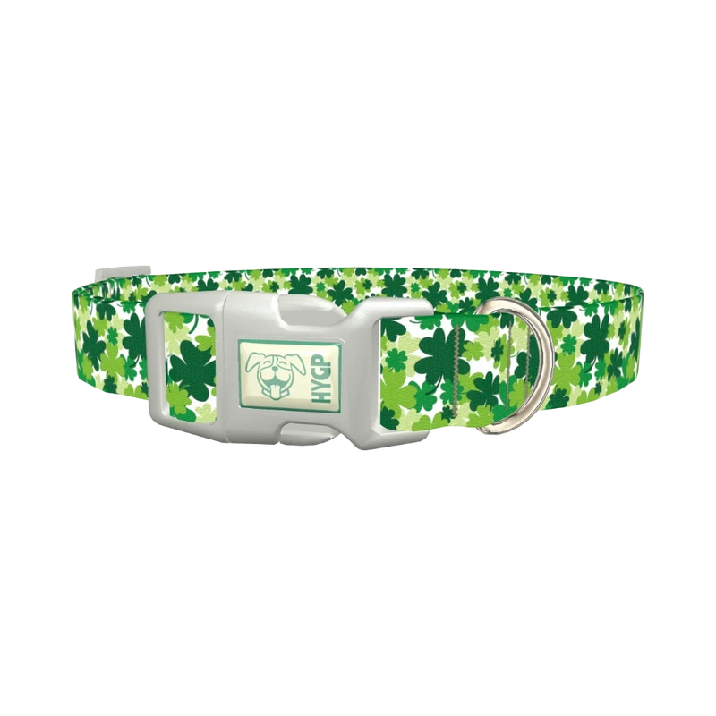 Green Clover Pattern 8870529237207 Dog Collar - plastic silver