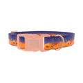 Desert Night Dog Collar - plastic rose gold