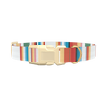 Multicolor Hexagon Stripe Dog Collar - plastic silver