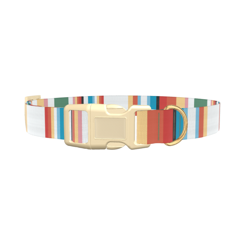 Multicolor Hexagon Stripe Dog Collar - plastic silver
