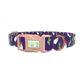 Cactus Ghost Dog Collar - plastic gold