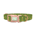 Cowboy Star Dog Collar - plastic rose gold
