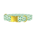 St. Patrick's Day Rainbow Dog Collar - metal gold