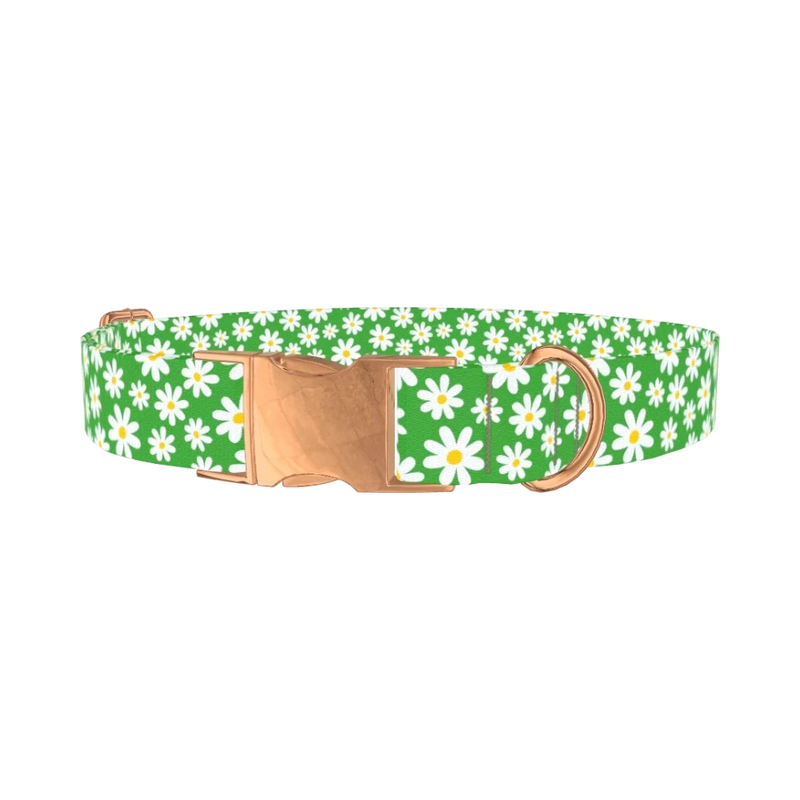 Green Daisy Meadow Dog Collar - metal rose gold
