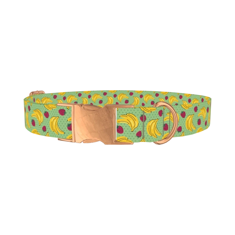 Fruit Pattern Dog Collar - metal rose gold