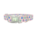 Pastel Polka Dot Dog Collar - plastic silver