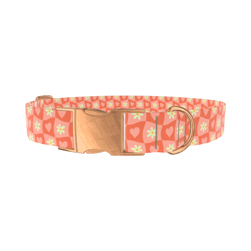 Heart and Daisy Dog Collar - metal rose gold