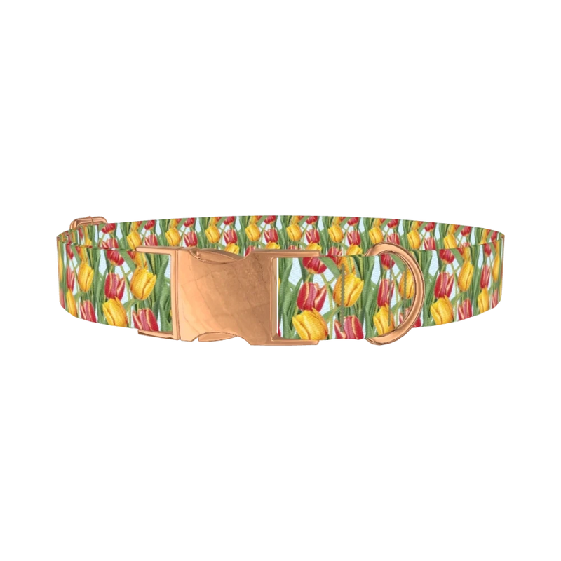 Red Yellow Tulip Dog Collar - metal rose gold