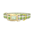 Multicolor Tartan Dog Collar - plastic gold