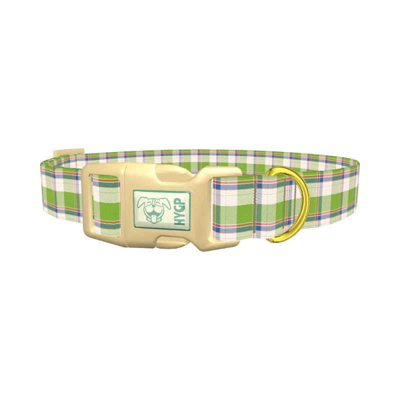 Multicolor Tartan Dog Collar - plastic gold