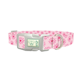 Heart Burst Dog Collar - plastic silver