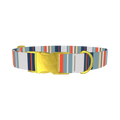 Beige Blue Stripe Dog Collar - metal gold