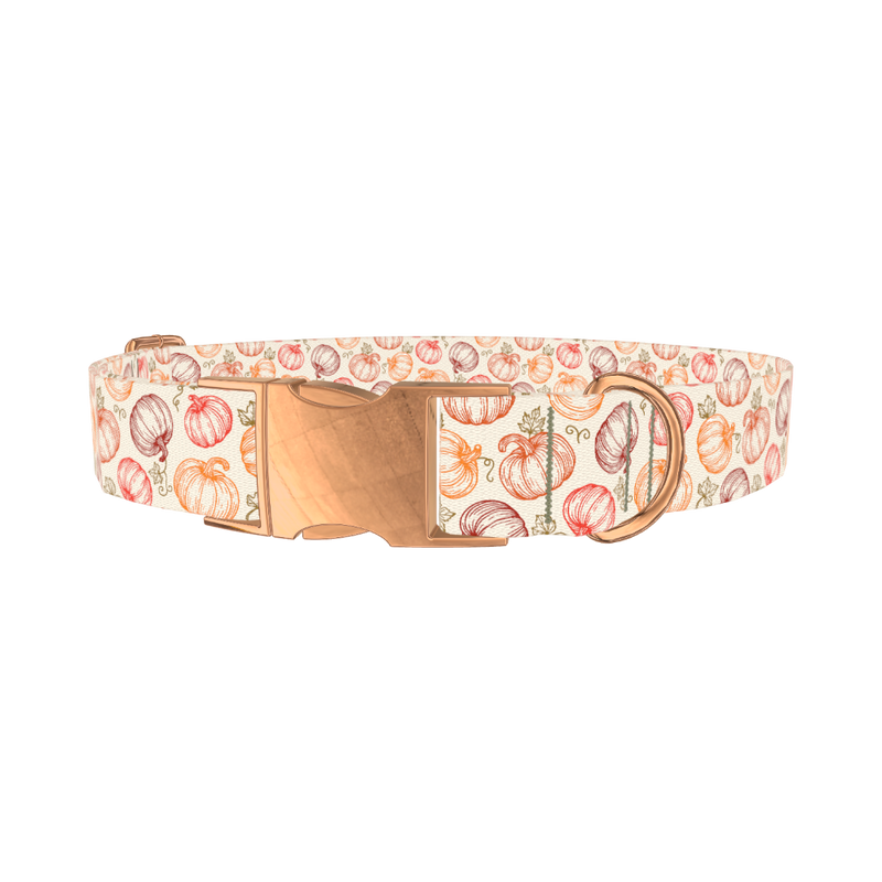 Fall Pumpkin Outline Dog Collar - metal rose gold