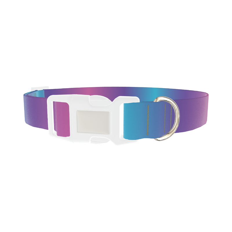 Blue Pink Ombre Dog Collar - plastic silver