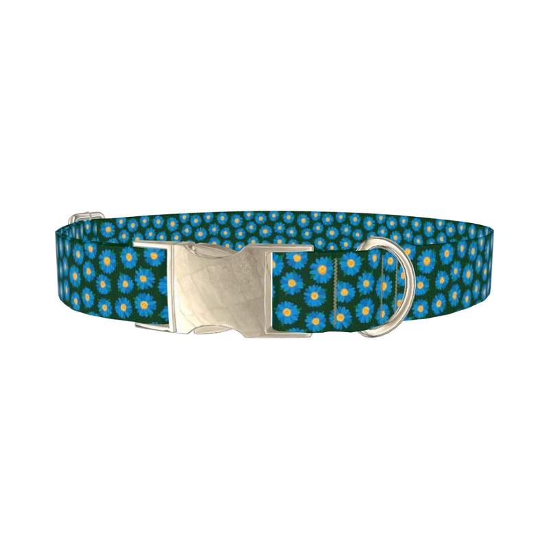 Blue Daisy Floral Dog Collar - metal silver