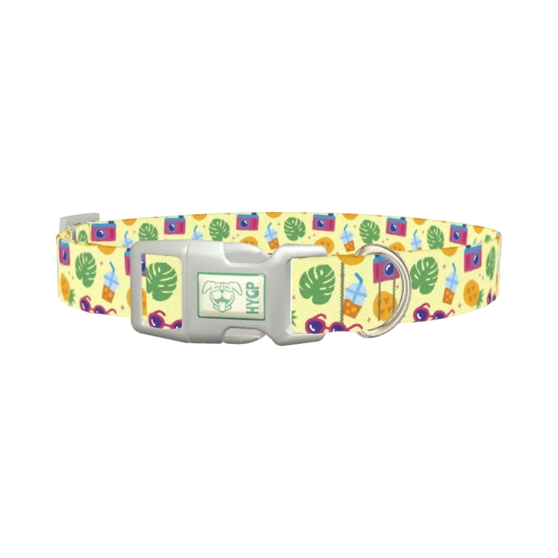 Pineapple Beach Dog Collar - plastic silver