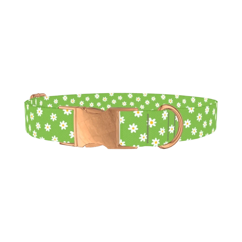 Green Daisy Pattern Dog Collar - metal rose gold