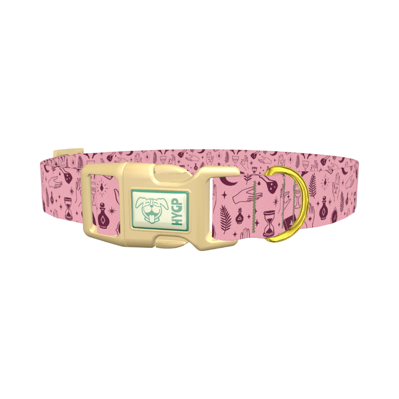 Halloween Palmistry Dog Collar - plastic gold