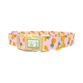 Tropical Pineapple Dog Collar - plastic gold