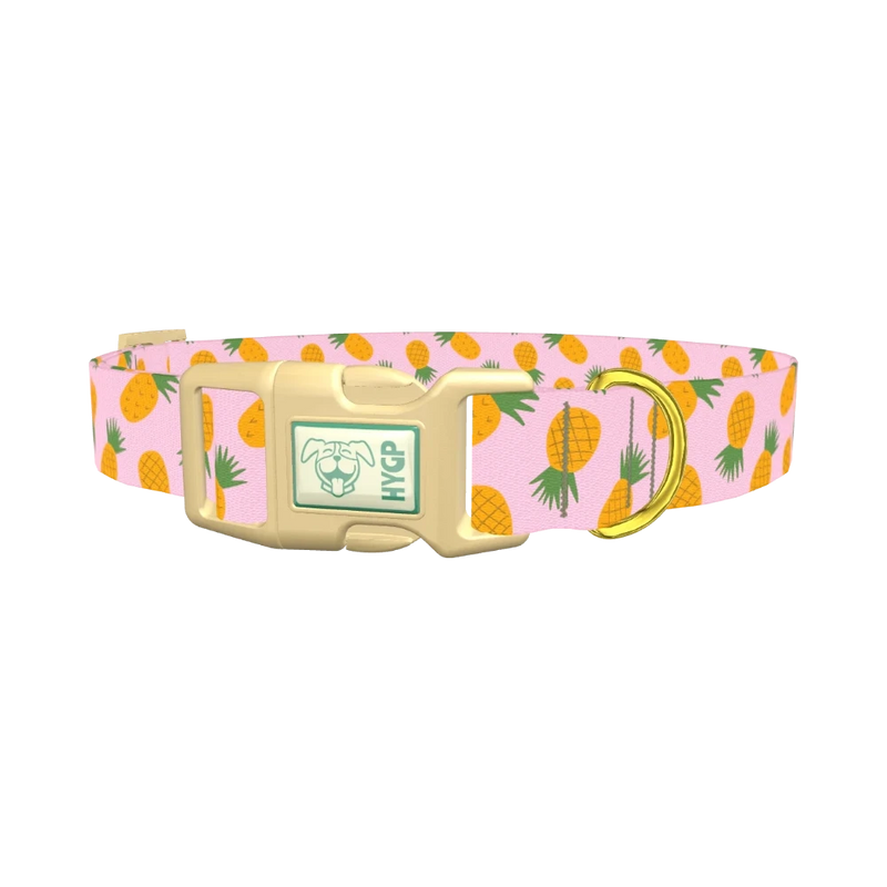 Tropical Pineapple Dog Collar - plastic gold