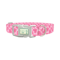 Pink Sketch Heart Dog Collar - plastic silver