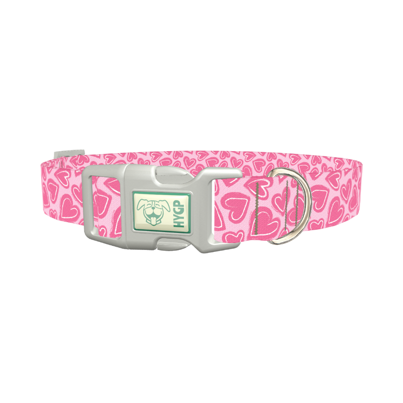 Pink Sketch Heart Dog Collar - plastic silver