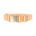 Halloween Stripes Dog Collar - metal gold
