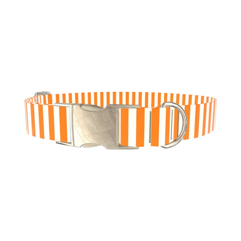 Halloween Stripes Dog Collar - metal gold