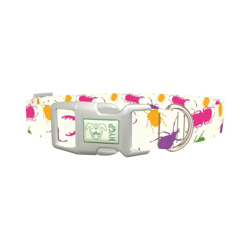 Colorful Beetle Dog Collar - plastic silver
