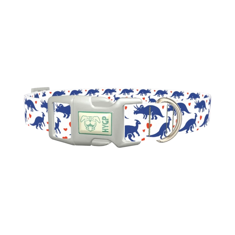 Dinosaur Heart Dog Collar - plastic silver