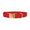 Bright Red Color Dog Collar - metal rose gold