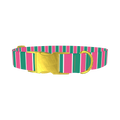 Pink and Green Stripe Dog Collar - metal gold